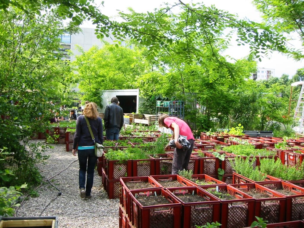 Urban Gardening Projekt Berlin Kreuzberg Prinzessinengarten Assenmacher, CC BY-SA 3.0 <https://creativecommons.org/licenses/by-sa/3.0>, via Wikimedia Commons
