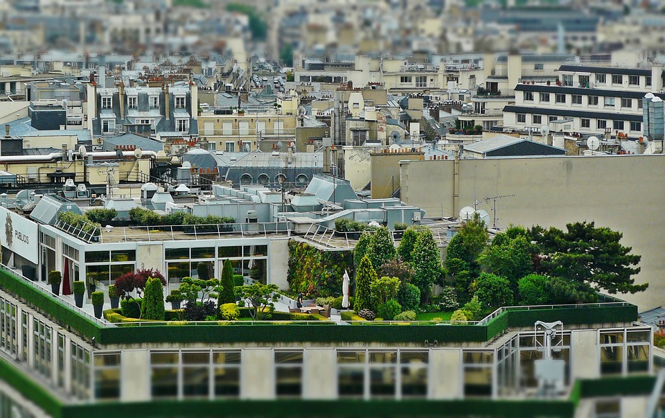 Dachgarten in Paris - solche Projekte werden gefördert. CC License Cocoparisienne