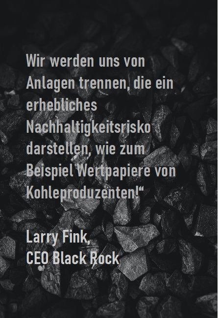 Umwelt und Profit Larry Fink Zitat Black Rock