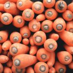 50 Tonnen Karotten und Rüben ins Ahrtal gespendet Photo by Mink Mingle on Unsplash