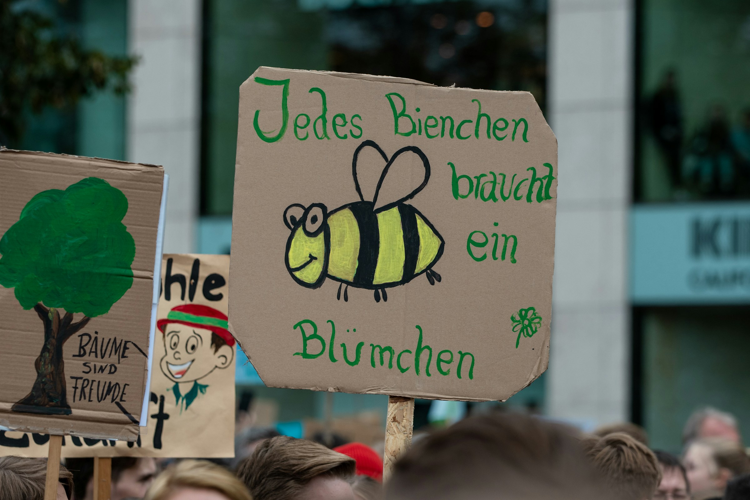 Das Projekt Bienen machen Schule vom Mellifera. Foto von Tobias auf Unsplash
