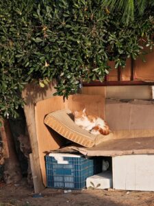 Rough Sleeping ist in Colerado vorbei. Bild Aleksandra Sapozhnikova