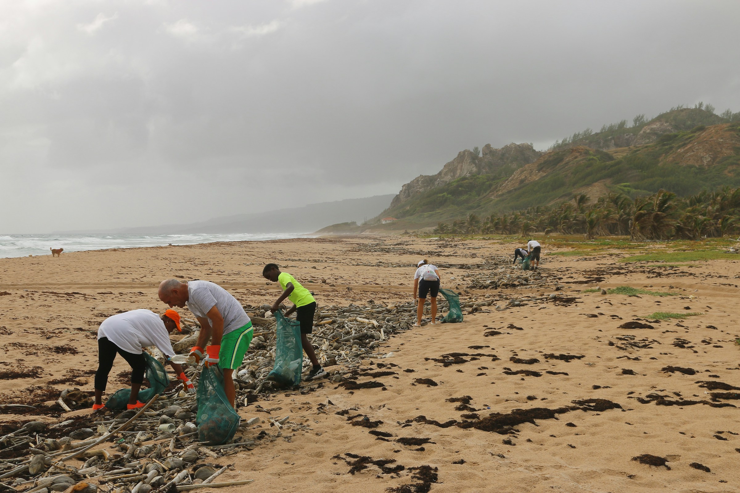 Ein Beach Cleanup. Foto von Brian Yurasits auf Unsplash