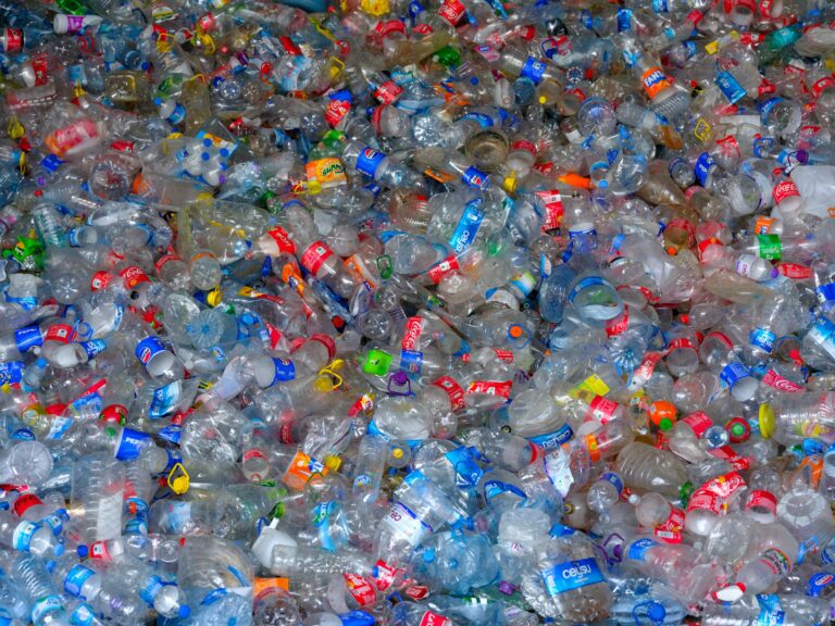 Alle Plastikflaschen müssen recycled werden ab 01.01.2022 Foto von engin akyurt auf Unsplash