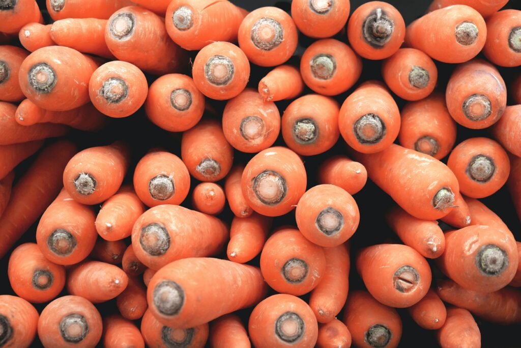 50 Tonnen Karotten und Rüben ins Ahrtal gespendet Photo by Mink Mingle on Unsplash