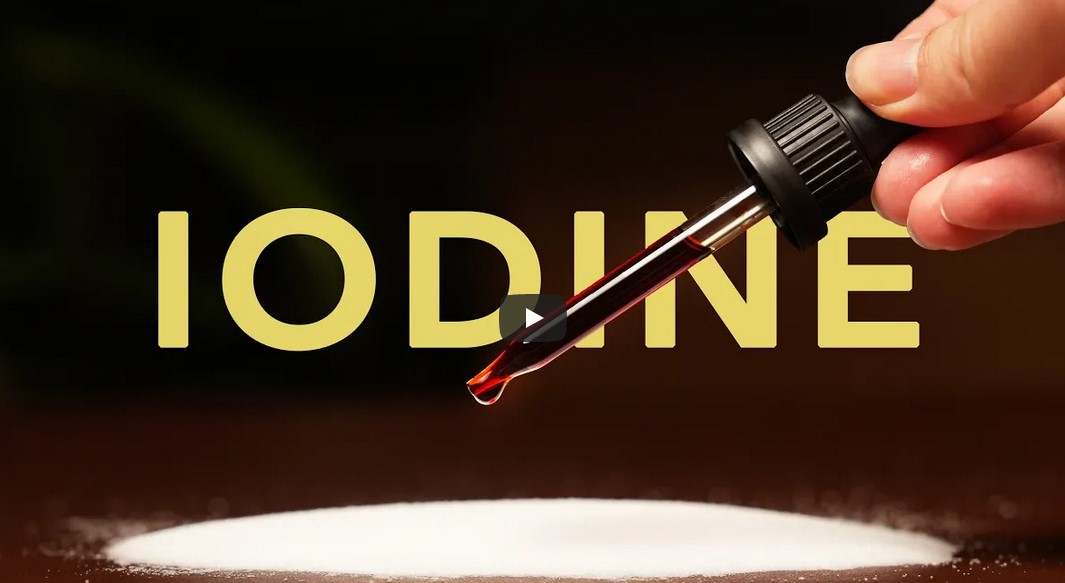 Iodine Global Network (IGN)