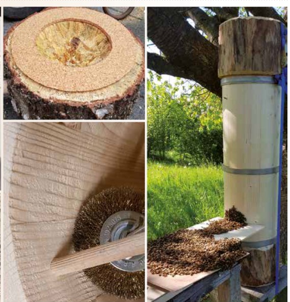 Der Schiffertree von Torben Schiffer. Bild Beenaturproject