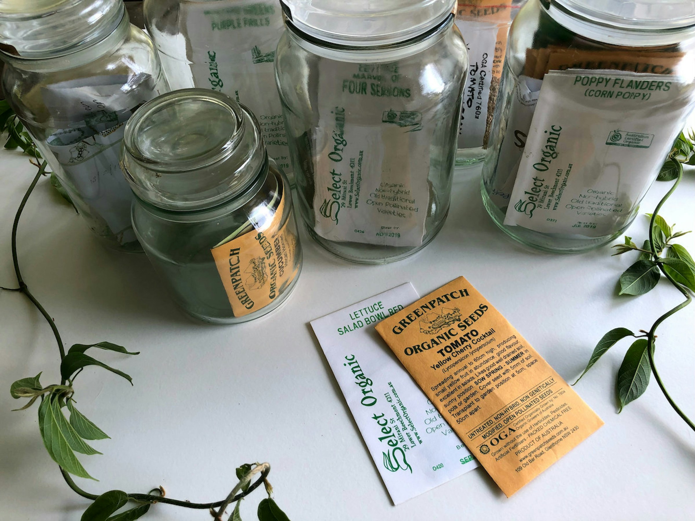 Beim Saatgutfonds will man offen befruchtete Samen züchten, die für jedermann zugängig sind. https://www.deutschlandfunk.de/saatgutfonds-natuerliche-vielfalt-fuer-die-naechsten-100.html