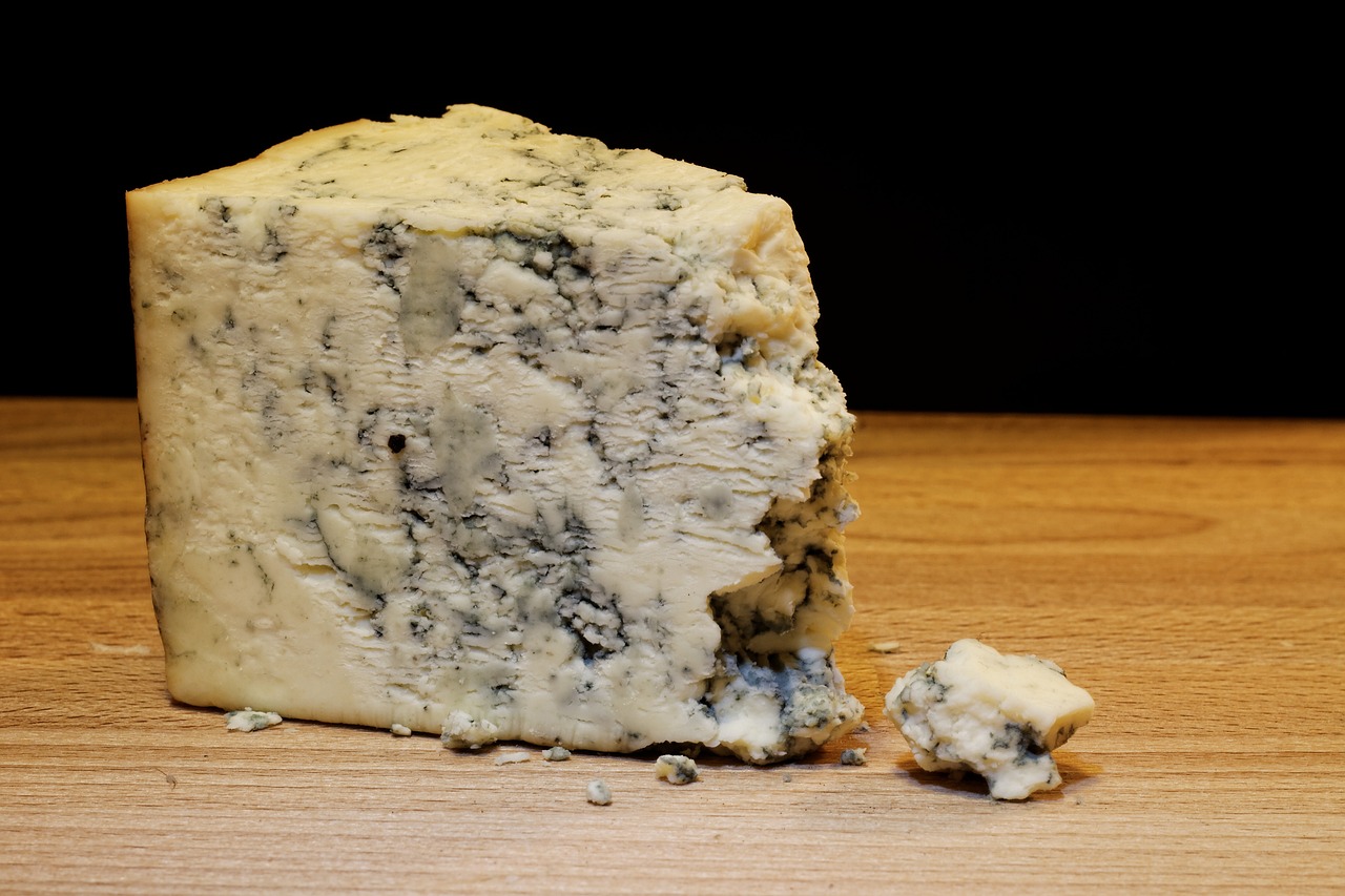 Die Arche des Geschmacks schützt den Roquefort Käse. Bild von tookapic auf Pixabay