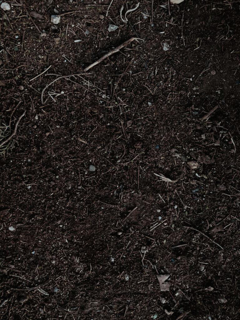 Schwarze Erde mit viel Humus. Bild Araf