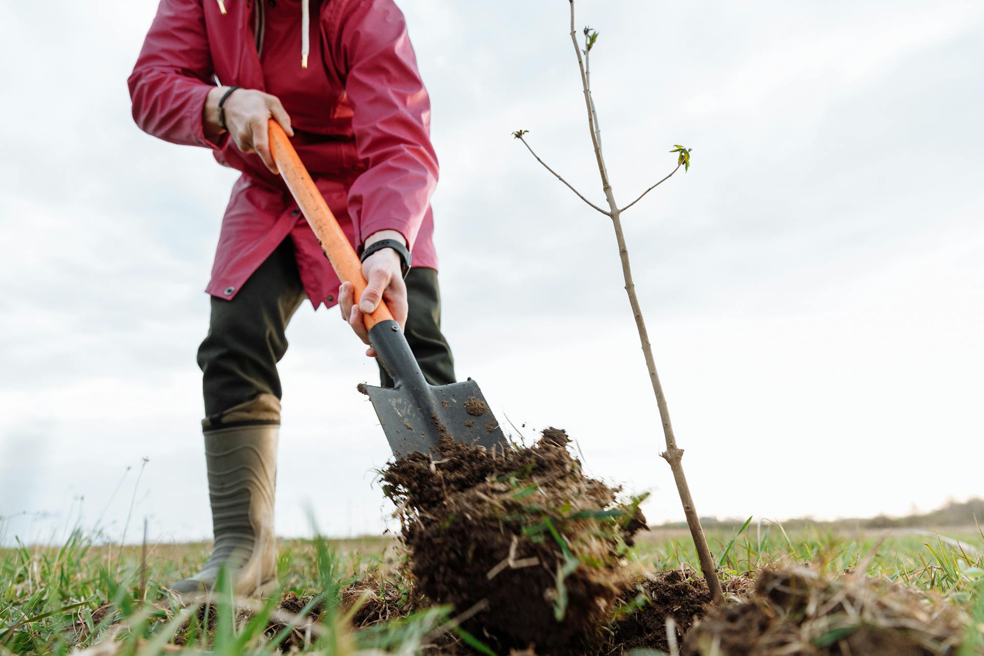 Ecosia hat 4 Millionen Bäume gepflanzt. Foto von Thirdman : https://www.pexels.com/de-de/foto/person-landwirtschaft-farmer-bauer-7656731/