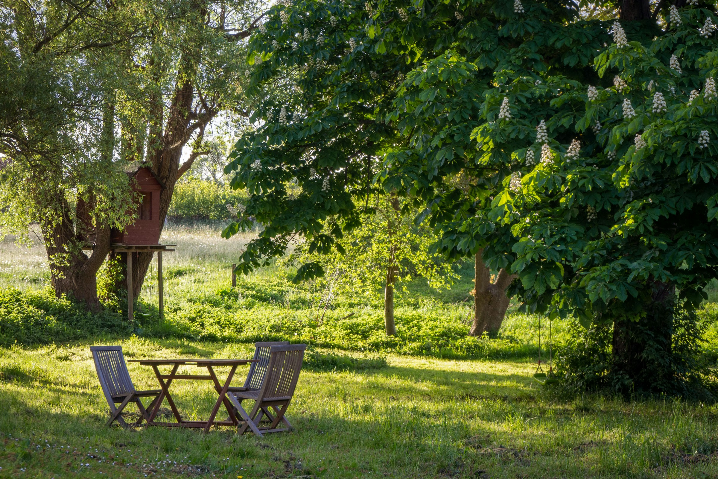 Der Film: „Wenn ein Garten wächst“