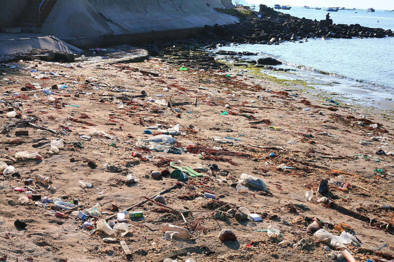 Wie man im Video sehen kann, so ähnliche sah der Strand vordem cleanup aus. Bild von Sergei Tokmakov, Esq. https://Terms.Law auf Pixabay