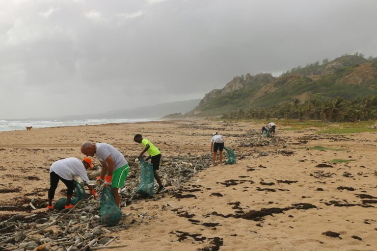 Wie ein Beach cleanup abläuft. Foto von Brian Yurasits auf Unsplash