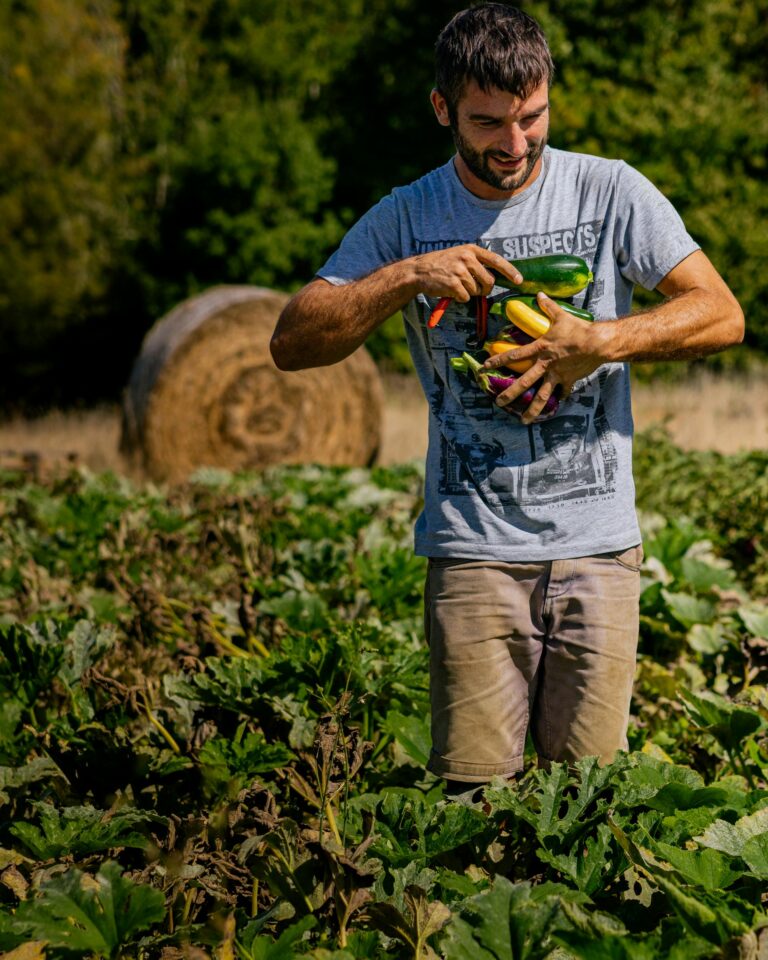 Teil einer solidarischen Landwirtschaft zu sein ist ein tolles Gefühl. und gesund. Foto von Alex Grandidier: https://www.pexels.com/de-de/foto/36108059/