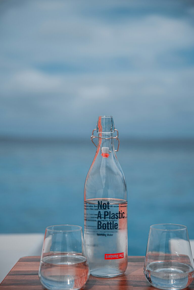 Statt Plastikfalschen zu kaufen kann kan gefiltertes Wasser in Glasflaschen abfüllen. Foto von Rayyu Maldives auf Unsplash