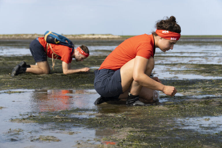 Es gibt die Möglichkeit ein Praktikum bei Wattenstationen zu machen. Bild Searanger