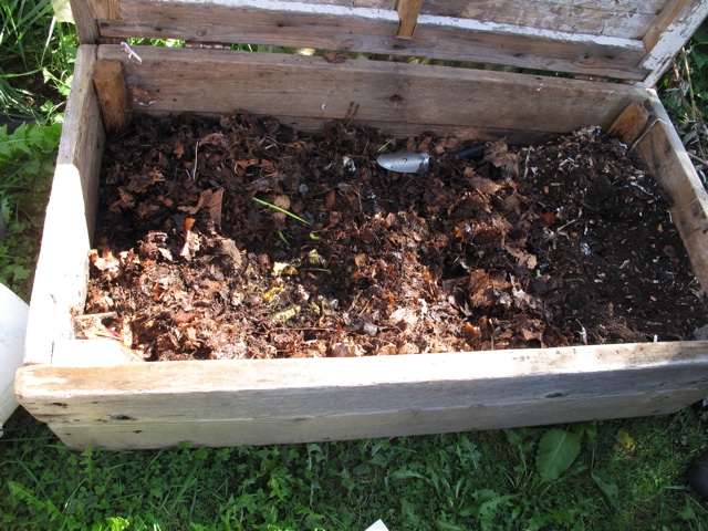 Eine einfache Holzkiste kann in den Garten gestellt werden und als Wurmkiste dienen. Bild. Romina Jones https://www.flickr.com/photos/clarityjones/4307925767