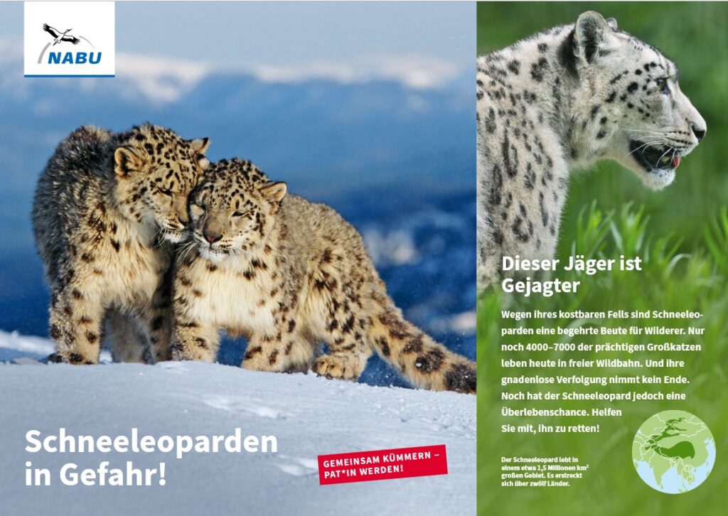 Eine Patenschaft für den Schneeleoparden vom NABU. 
