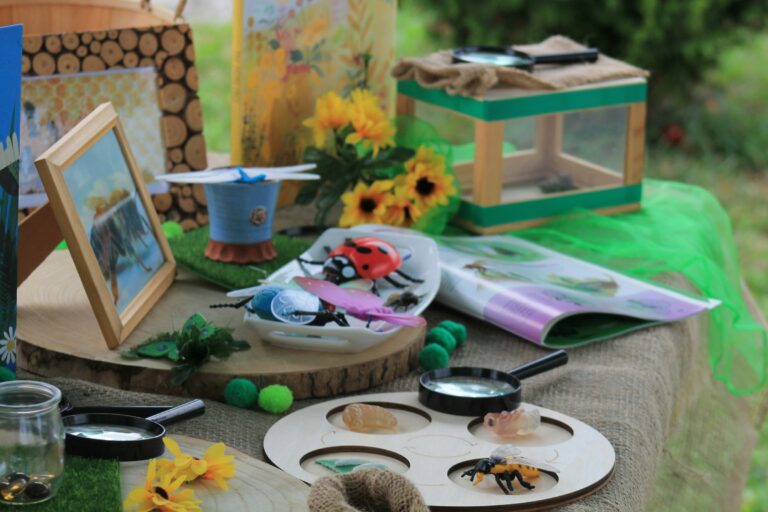 Wie startet man ein Bienenprojekt an seiner Schule?