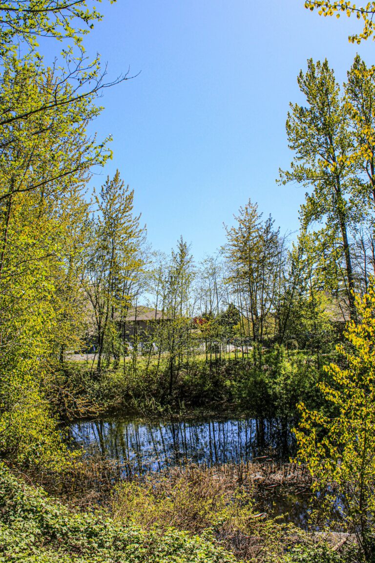 Minikläranlage im eigenen Garten anlegen.
