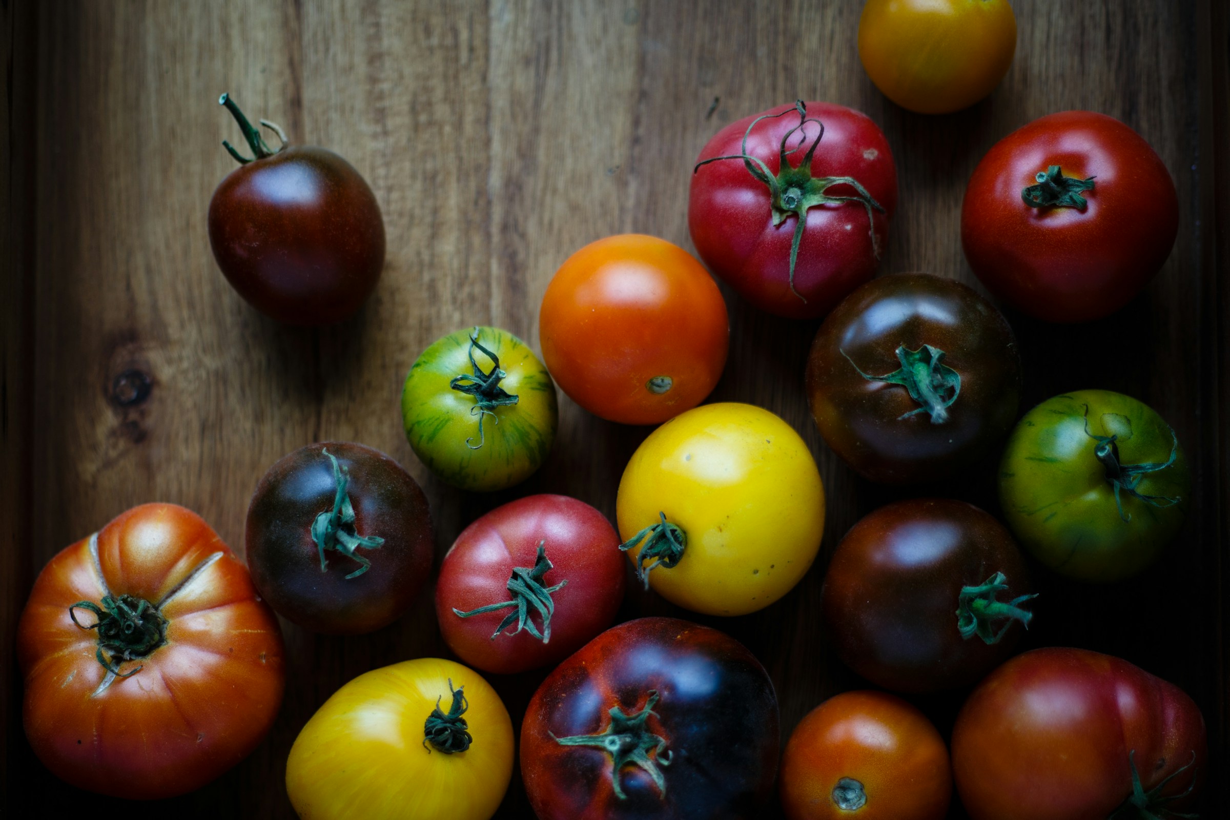Alte Tomatensorten. Foto von Vince Lee auf Unsplash