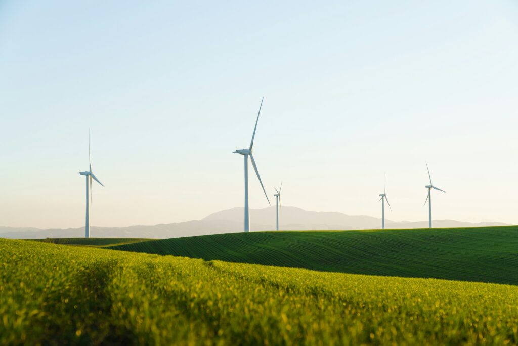 Energiegenossenschaften bauen auch aktiv Windräder. Foto von Zac Wolff auf Unsplash