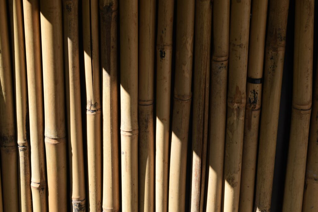 Bambus bekommt man im Baumarkt oder Online. Foto von <a href="https://unsplash.com/de/@simplicity?utm_source=unsplash&utm_medium=referral&utm_content=creditCopyText">Marija Zaric</a> auf <a href="https://unsplash.com/de/fotos/eine-bambuswand-durch-die-die-sonne-scheint-riLMiUaKiZg?utm_source=unsplash&utm_medium=referral&utm_content=creditCopyText">Unsplash</a>      